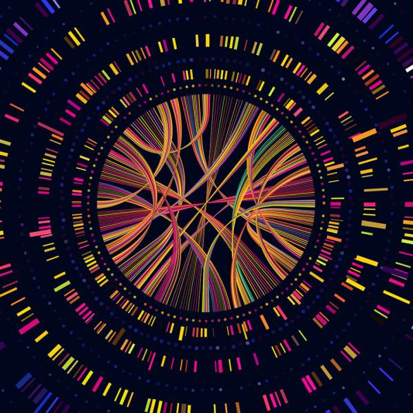 An illustration composed of coloured bars that look like genetic screening radiating from a nucleus of curved covered lines.