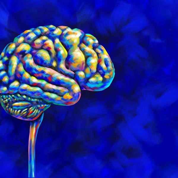 Graphic of a human brain done in bright colours resembling an oil painting.