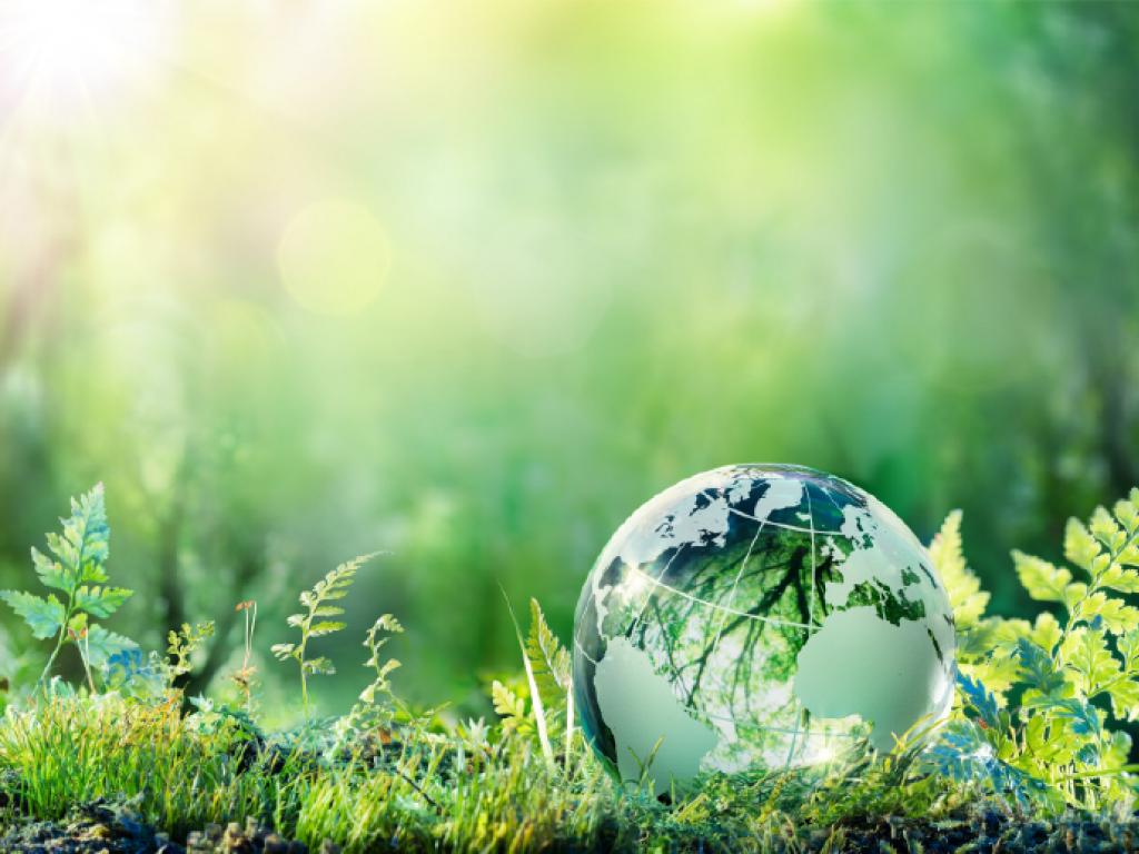 Un globe terrestre en cristal repose sur un tapis d’herbe et de fougères