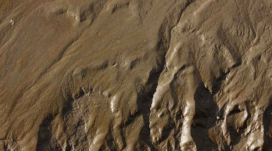 A scan of the ocean floor resembling a brown muddy surface.