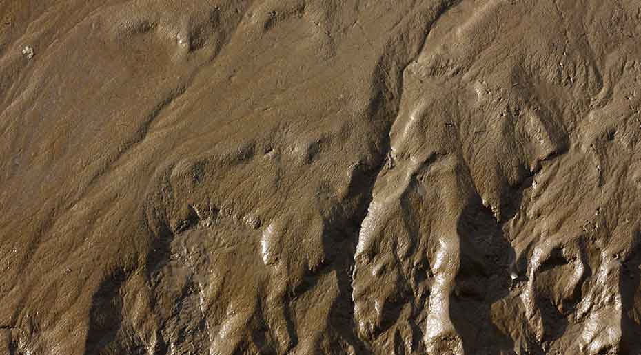 Un scan du fond de l'océan ressemblant à une surface boueuse brune.