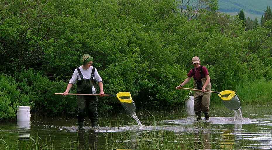 2 persons in a small river holding fishing nets.