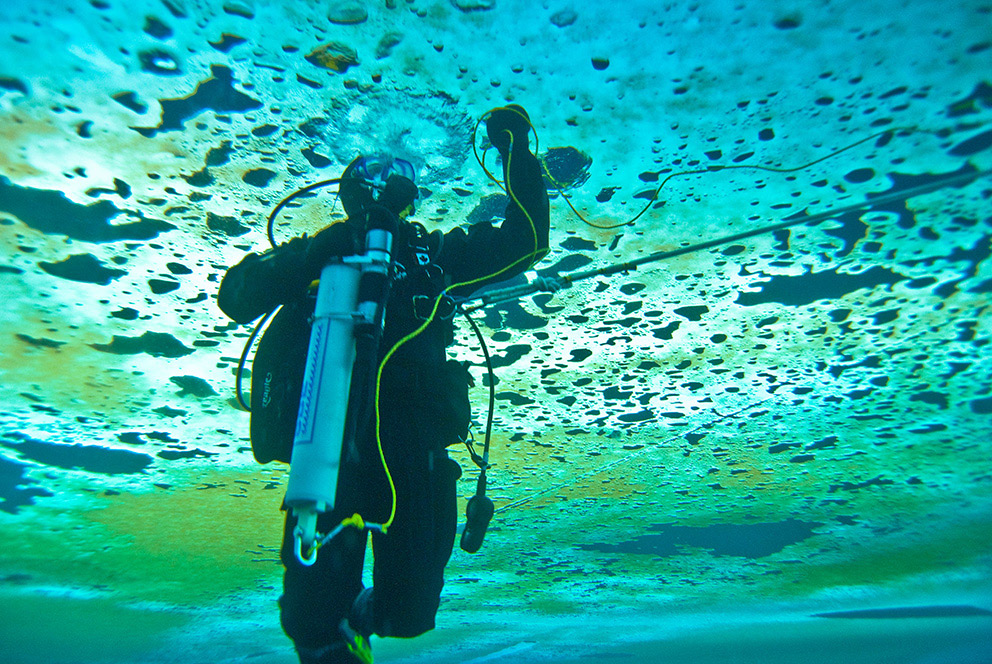 A diver swimming under the Arctic ice.