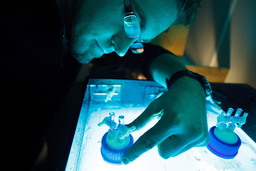 Jonathan Gagnon manipulating research equipement in a lab.