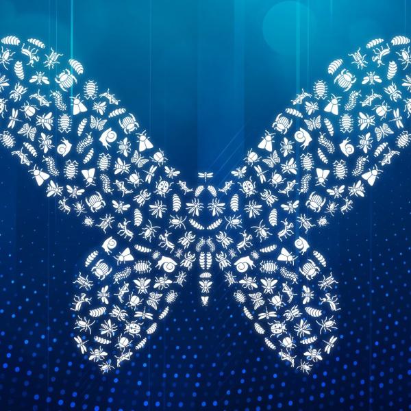 Image graphique de la forme d’un papillon composée de nombreux petits insectes.