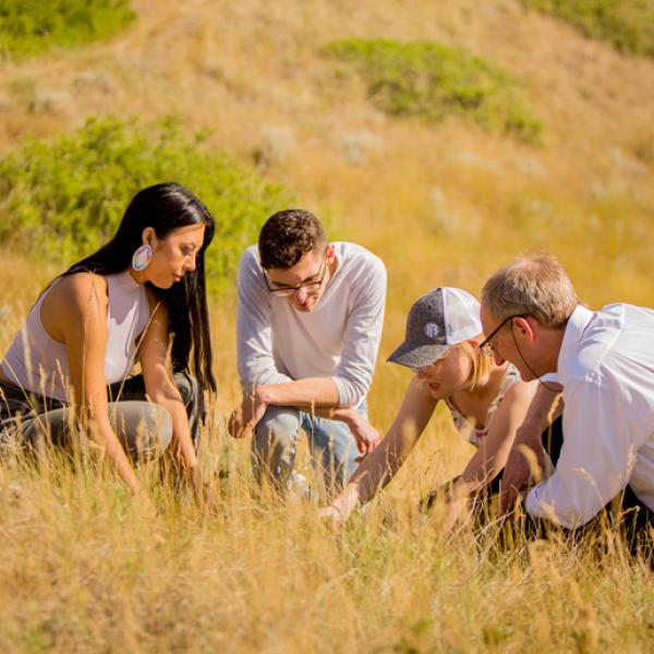 Four people crouch on a yellow grass-covered hill looking down toward a specimen