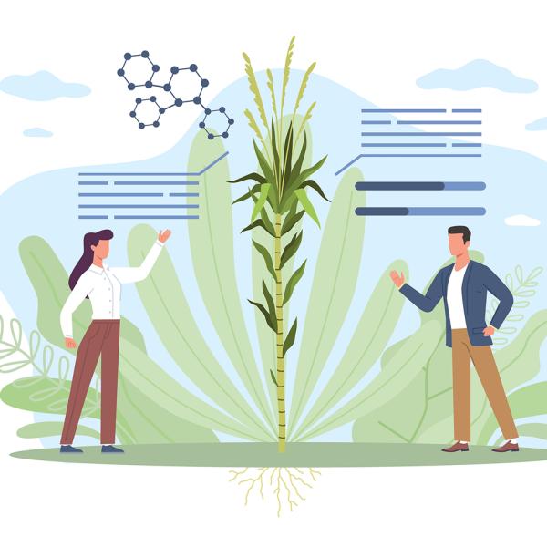 Illustration of a group of people dressed in lab coats gesturing toward a cubic cross section of soil layers with plants growing out of it.