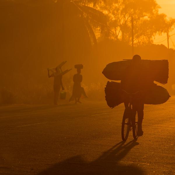 A yellowish haze creates a silhouette of a person on a bike carrying a heavy load.