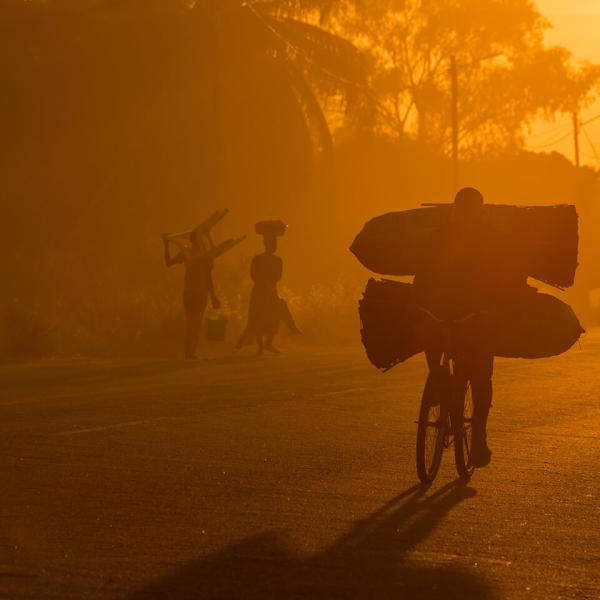 Photo dans un dégradé de couleur jaune uniquement d'une personne sur un vélo portant une lourde charge à contre-jour dans un lever de soleil rendant l’image brumeuse.