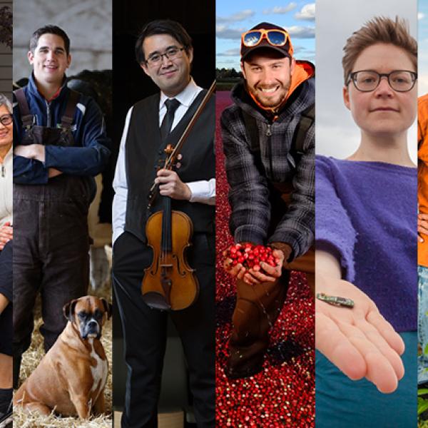 A collage of photos featuring various researchers arranged in vertical stripes.