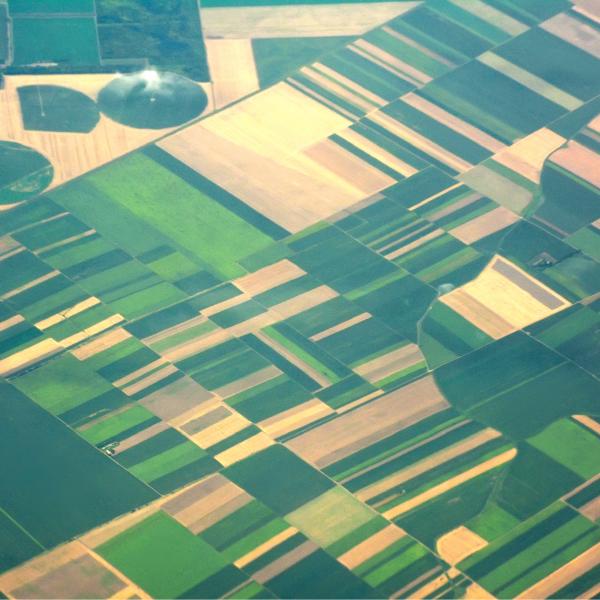 An aerial shot of a patchwork of green and fallow fields