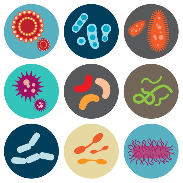 Trois rangées d'icônes ronds d'une variété de bactéries et de virus.