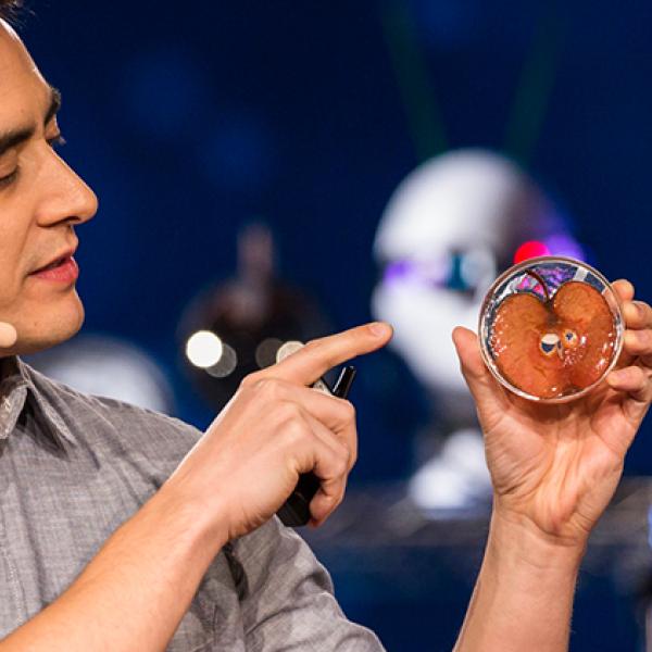 Andrew Pelling, wearing a microphone, points to a slice of apple in a petri dish.