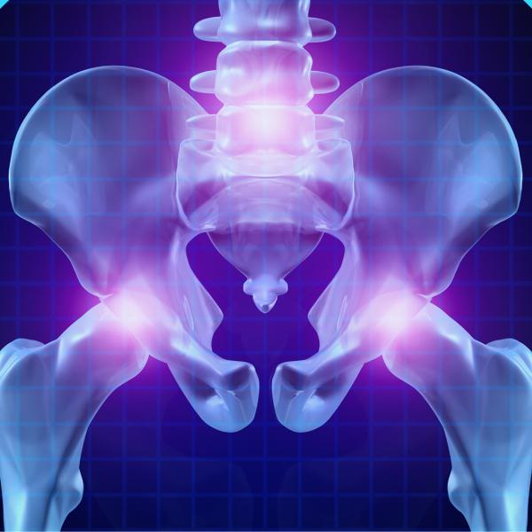 Graphique d’un os de hanche humain, les articulations sont éclairées par des lumières violettes.