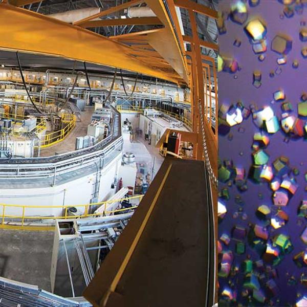 A huge, circular room is entirely filled by a ring-like structure of large metal pipes. Inset is a series of colourful protein crystals photographed on a purple background.