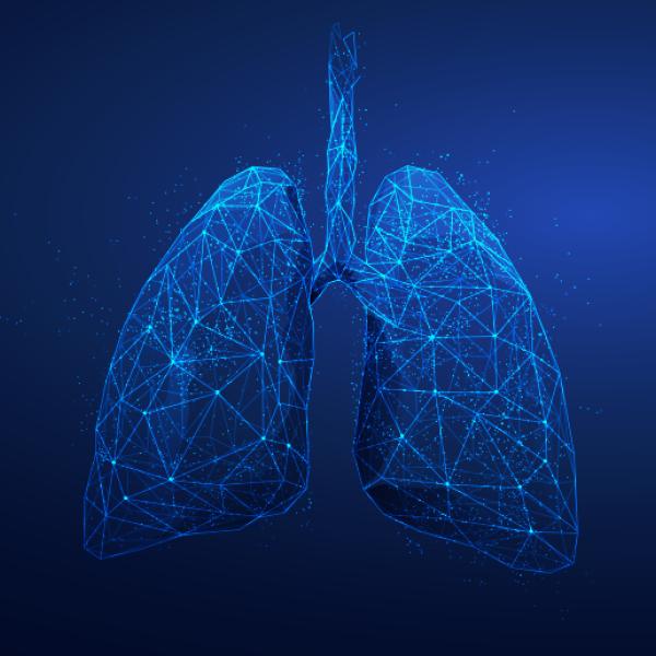 A graphic of lungs criss-crossed with intersecting lines