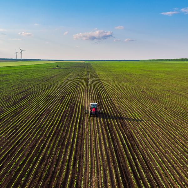 An aerial view of an agricultural field.