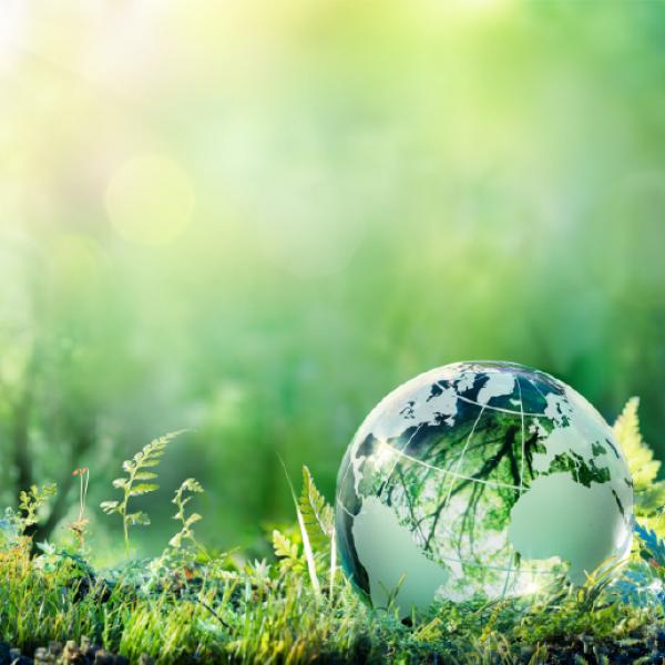 Un globe terrestre en cristal repose sur un tapis d’herbe et de fougères