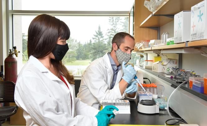 Deux personnes travaillant dans un laboratoire.