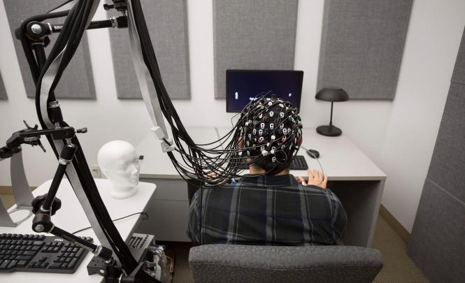 A person sitting in a chair wearing an EEG helmet attached to a machine inside an office. The desk in front of this person has a polyester head on top of it.