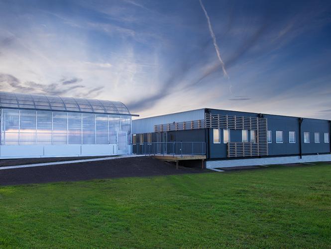 A single-storey building with attached greenhouse viewed from ground level.