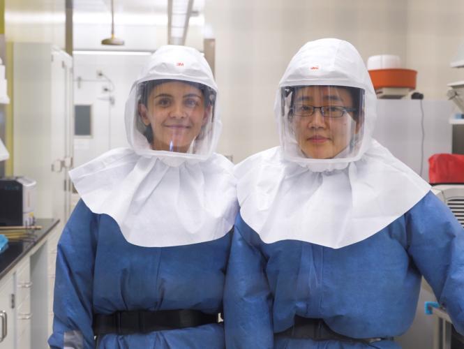 Photo of two women researchers wearing personal protective equipment in a lab