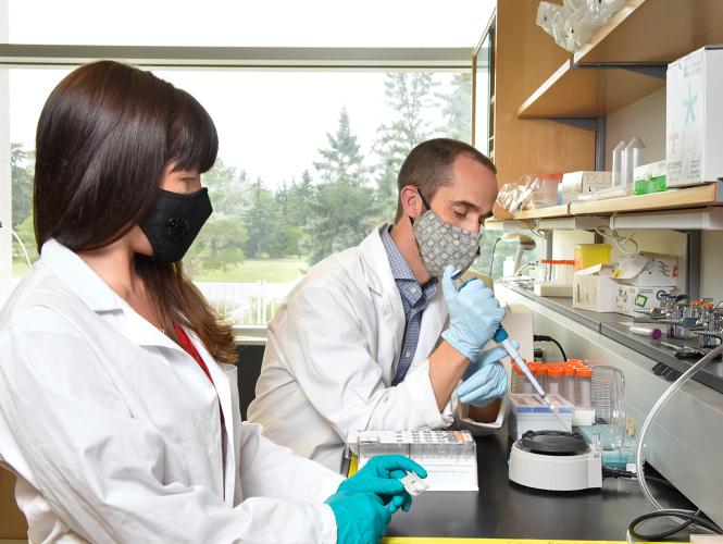 Two people at work in a laboratory