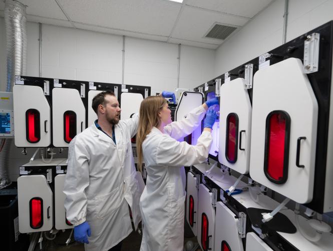 Researchers setting up photobioreactors in the lab.