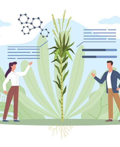 Illustration comprenant trois personnes vêtues de blouses de laboratoire, montrant du doigt et analysant un bloc carré qui représente cinq couches de la terre et sur lequel poussent des plantes.
