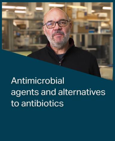 An image card featuring Doctor Gerry Wright inside a dark blue rectangle with the statement "Antimicrobial agents and alternatives to antibiotics" in white text overlayed over it.