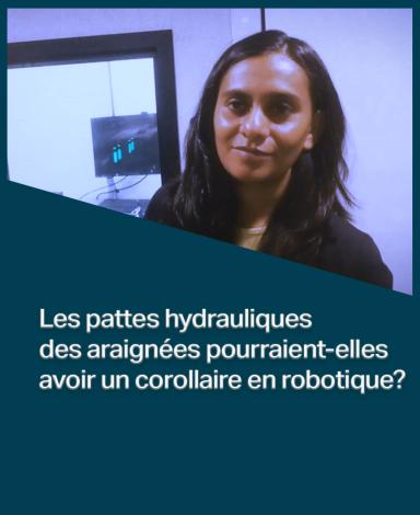 Une carte-image représentant la professeure Natasha Mhatre à l'intérieur d'un rectangle bleu foncé sur lequel est superposée la phrase "Les pattes hydrauliques des araignées pourraient-elles avoir un corollaire en robotique?" en texte noir.