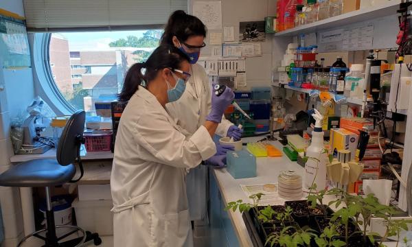 Deux personnes en blouse de laboratoire se tiennent devant une table de travail sur laquelle, au premier plan, se trouvent des plantes.