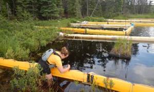 A person stands knee-deep to examine a rectangular yellow structure near a weedy shoreline.