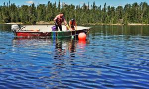Deux personnes se penchent par-dessus le bord d’un petit bateau à moteur sur un lac.