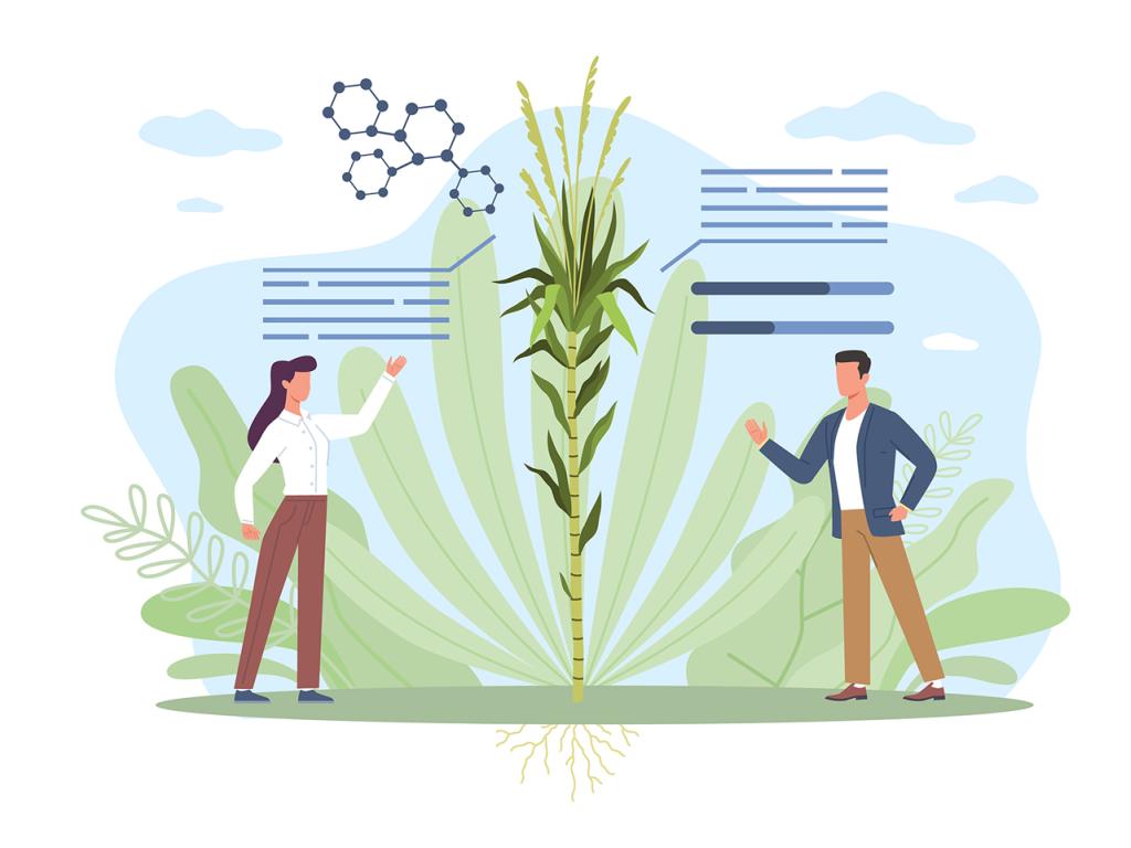 Illustration of a group of people dressed in lab coats gesturing toward a cubic cross section of soil layers with plants growing out of it.