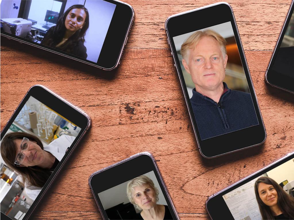 Image of various cellphones on a wooden table displaying photos of researchers.