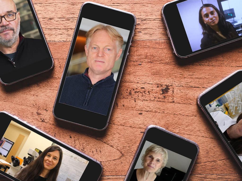 Image de divers téléphones portables sur une table en bois affichant des photos de chercheurs.