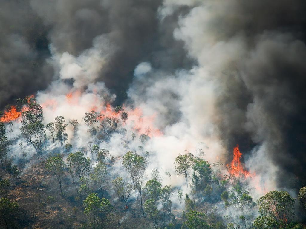 Dark orange flames along the crest of a treed hill with billows of thick grey smoke.