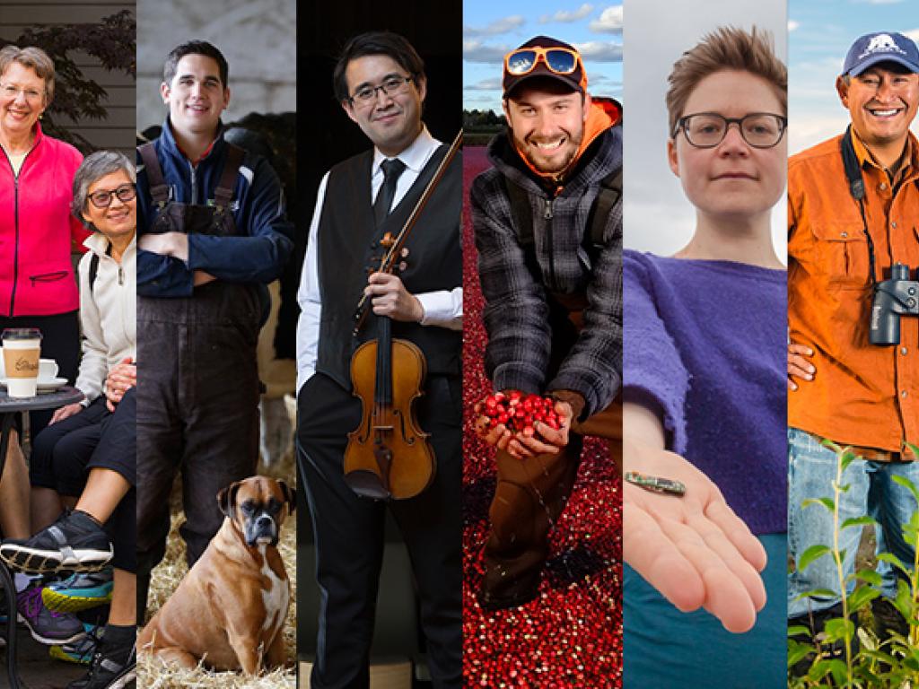 A collage of photos featuring various researchers arranged in vertical stripes.