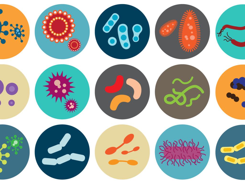 Three rows of round icons display a variety of bacteria and virus illustrations.