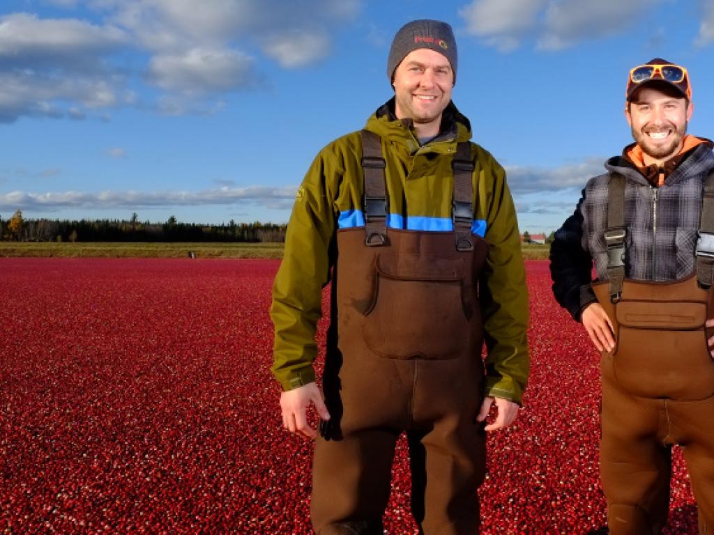 Crop scientist Simon Bonin and cranberry farmer Olivier Pilotte  posing for a photo in a field of cranberries.