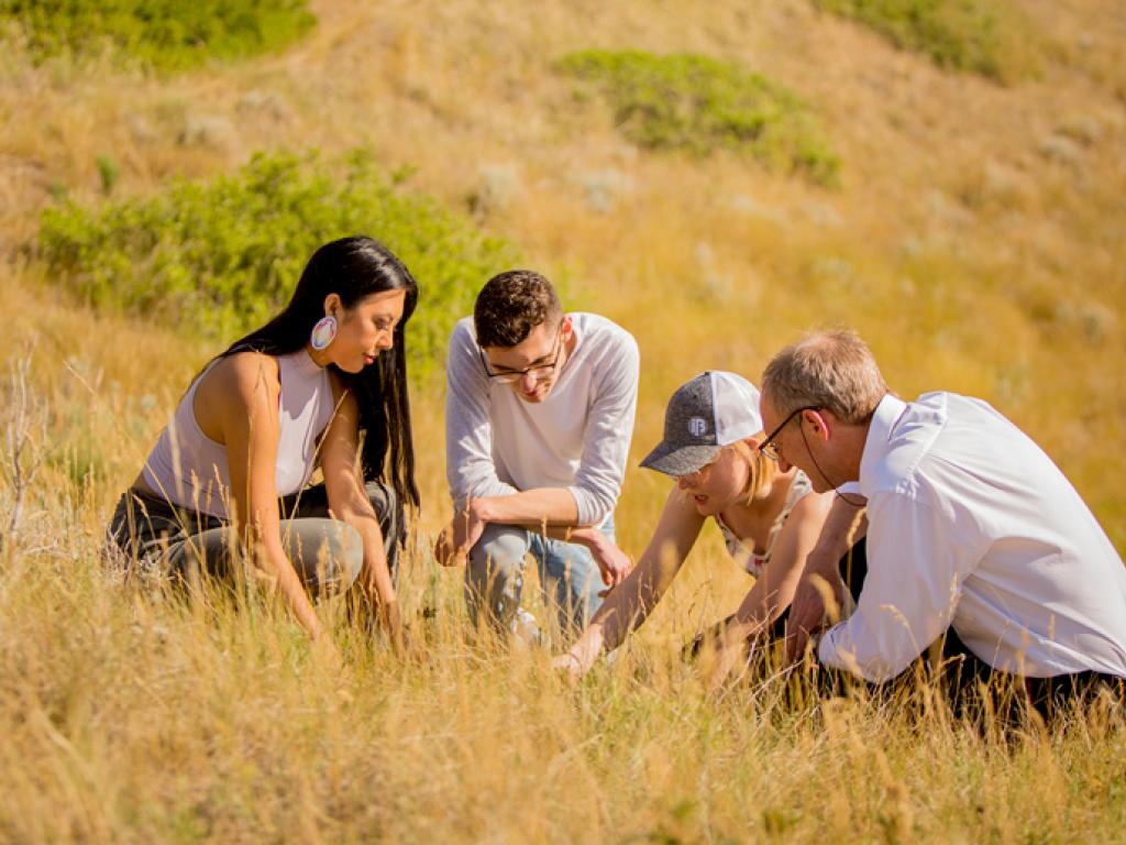 Four people crouch on a yellow grass-covered hill looking down toward a specimen