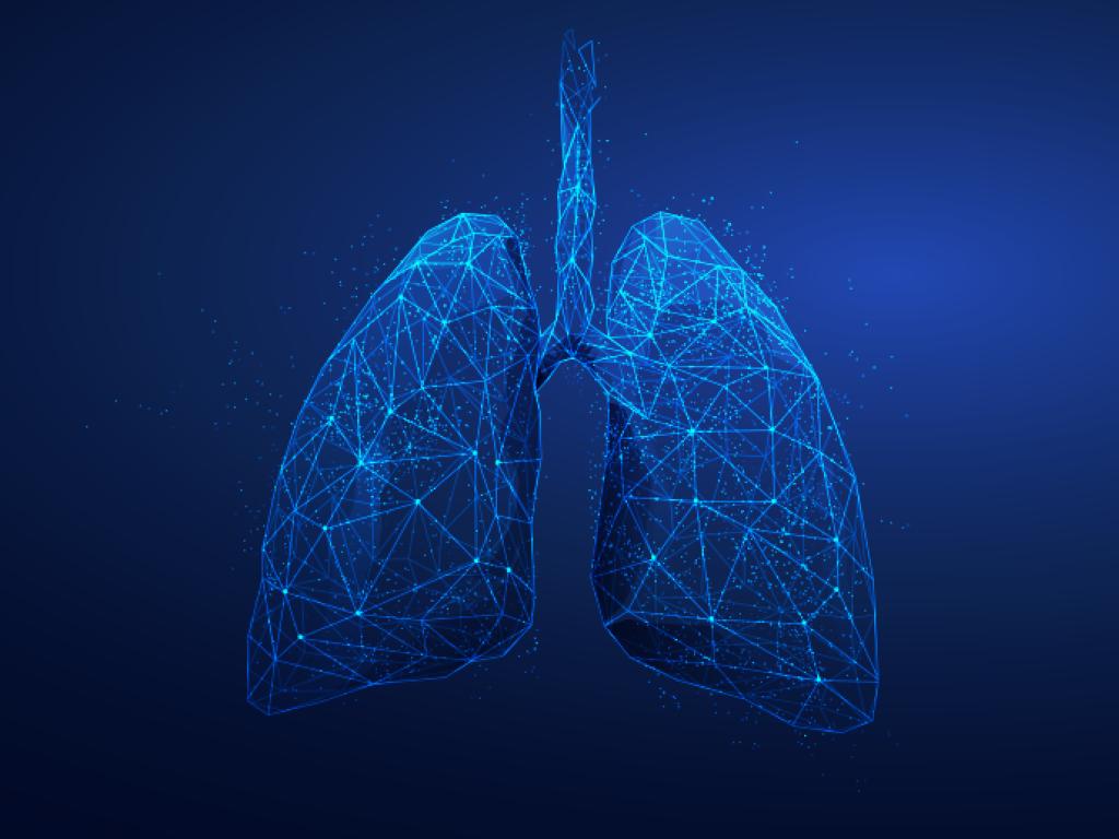 A graphic of lungs criss-crossed with intersecting lines