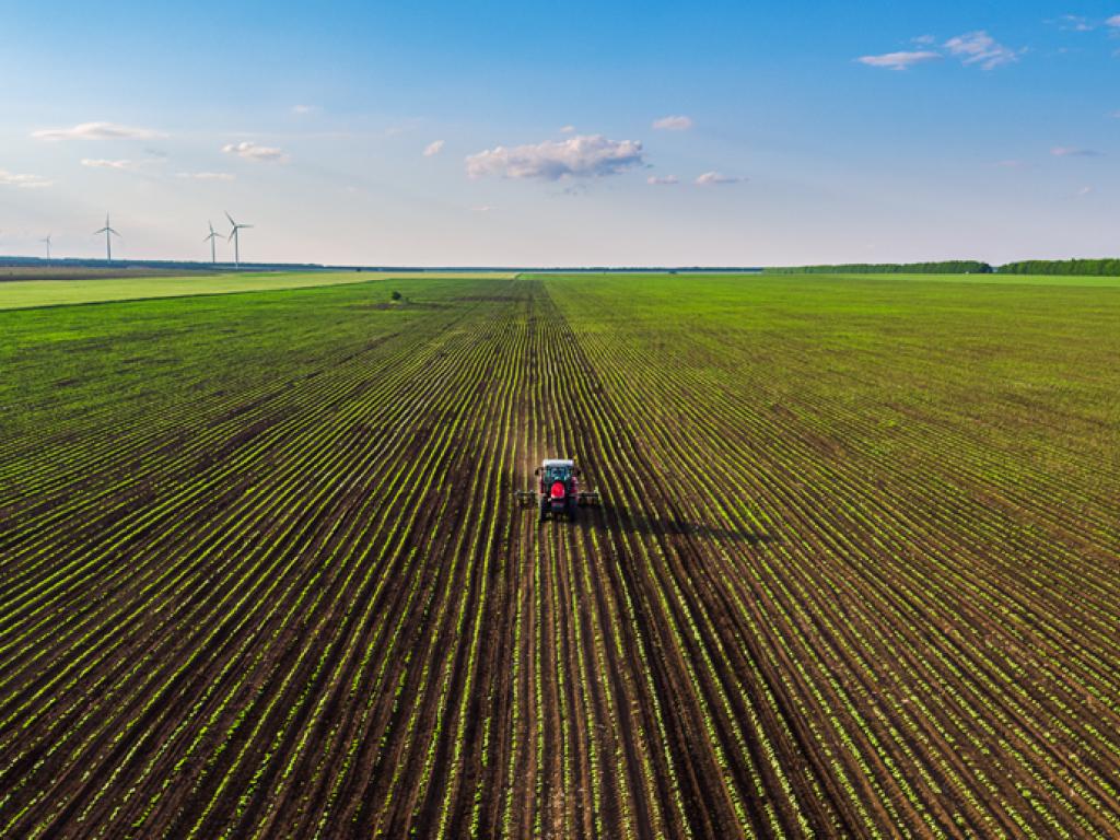 An aerial view of an agricultural field.