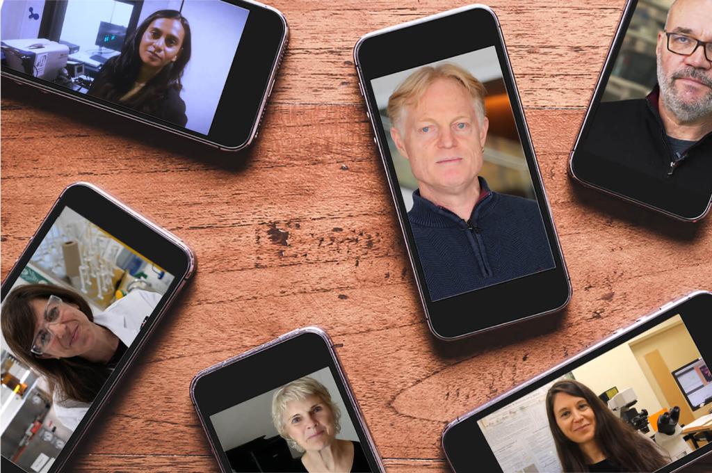 Image of various cellphones on a wooden table displaying photos of researchers.