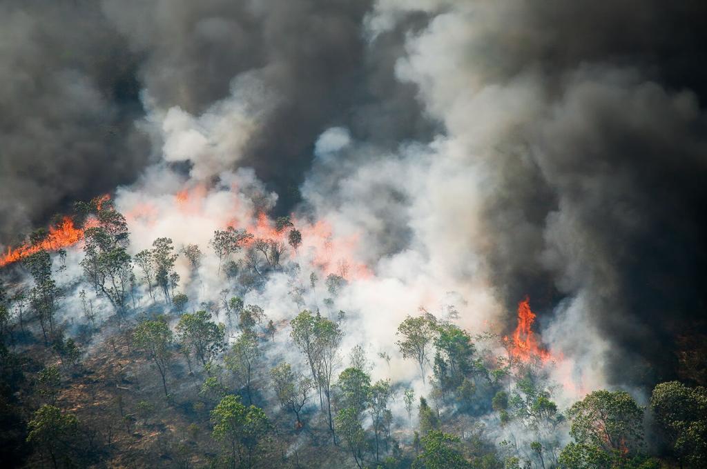 Dark orange flames along the crest of a treed hill with billows of thick grey smoke.