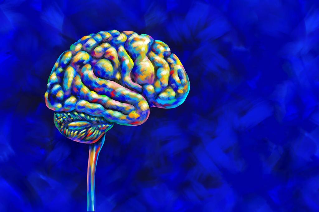 Illustration d'un cerveau humain réalisée dans des couleurs vives ressemblant à une peinture à l'huile.