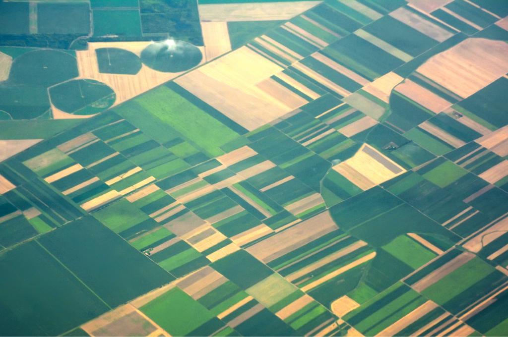 Vue aérienne d’un quadrillage de champs verts et en jachère.