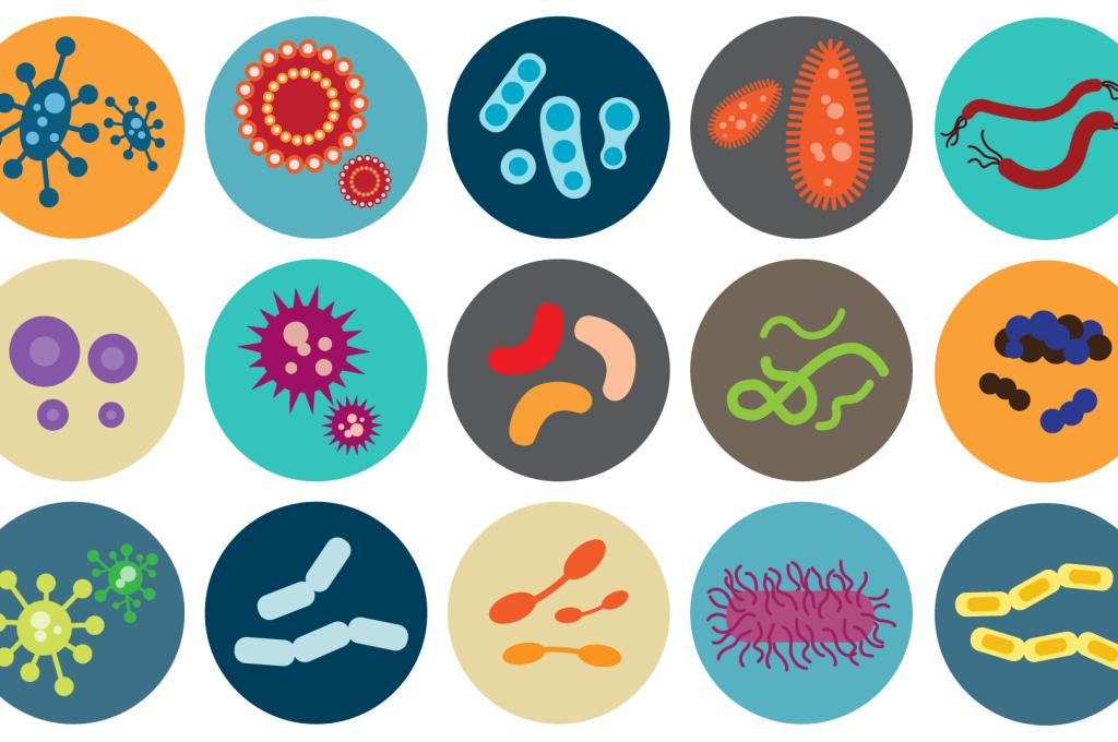 Trois rangées d'icônes ronds d'une variété de bactéries et de virus.