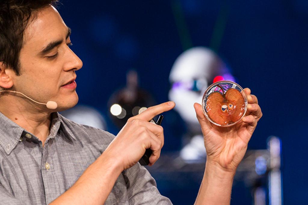 Andrew Pelling, wearing a microphone, points to a slice of apple in a petri dish.